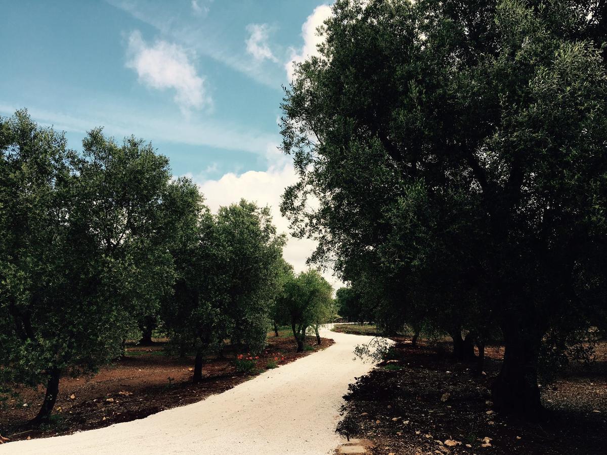 Fikus - The Apulian B&B Ceglie Messapica Eksteriør bilde