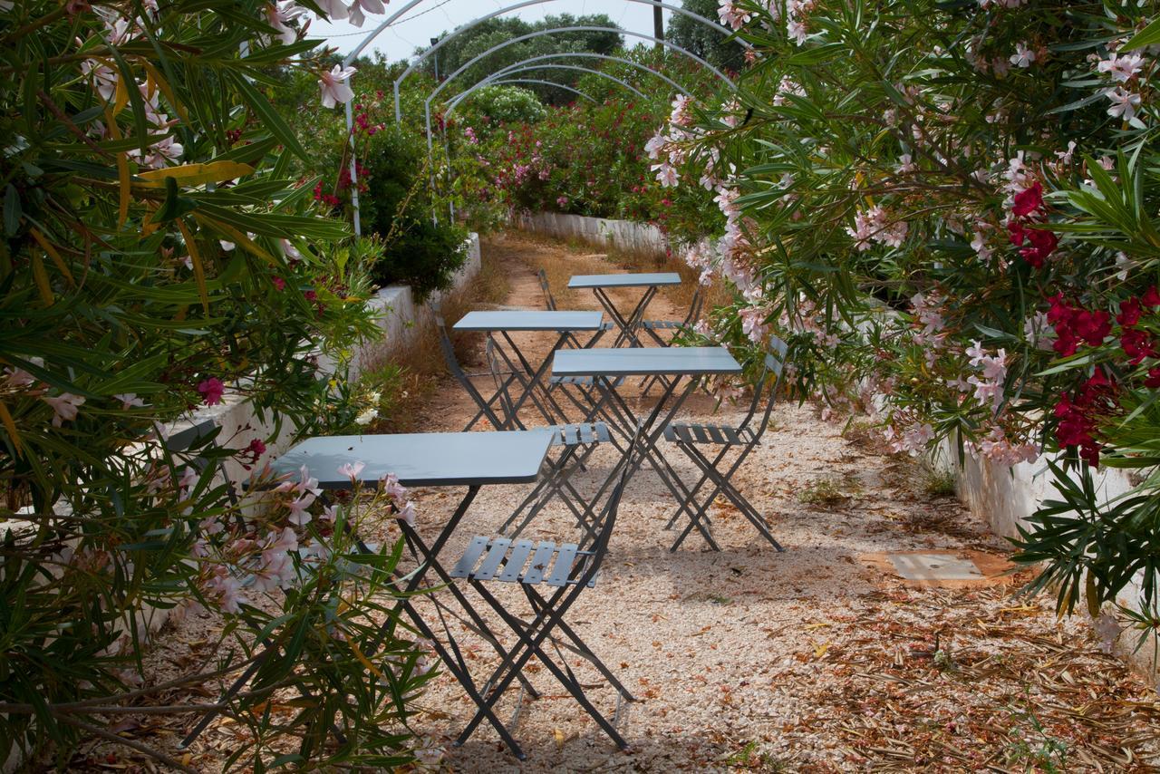 Fikus - The Apulian B&B Ceglie Messapica Eksteriør bilde